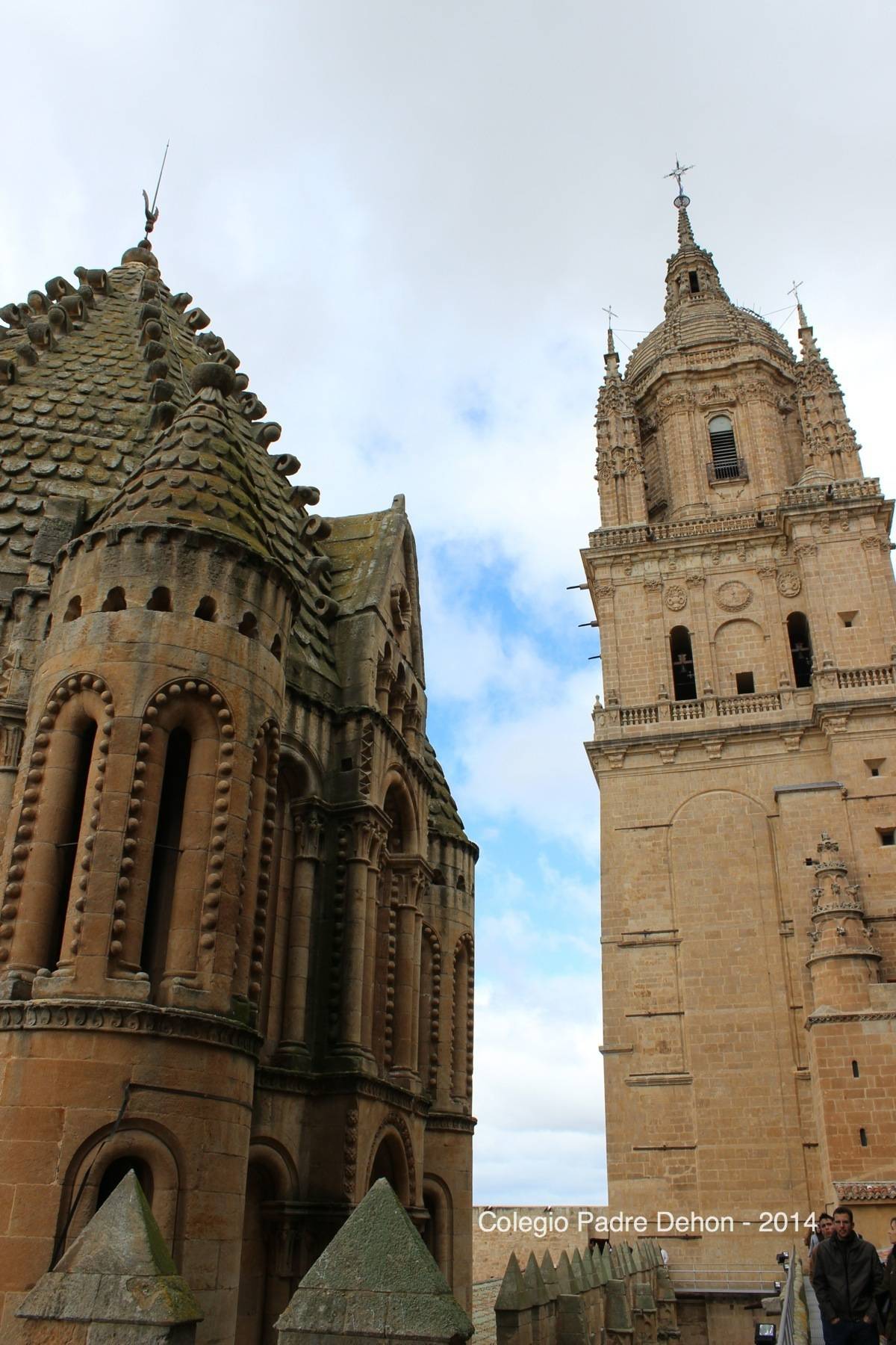 2014 03 22 SALAMANCA IERONIMUS CATEDRAL TORRE DEL GALLO (107)